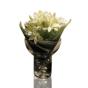 crystal limelight